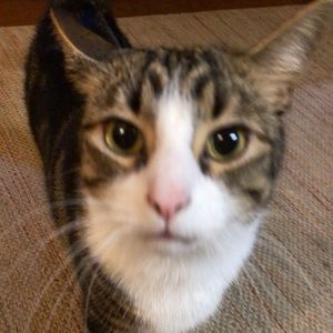 Meet your Posher, Taylor